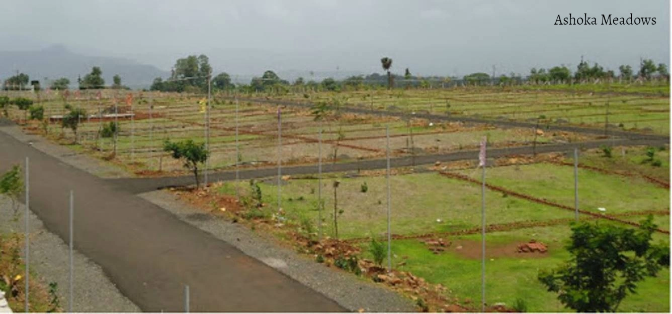 Banner Image for Ashoka Meadows