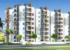 Image of Fortune PSLR Pride