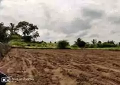 Image of SBN Mission Human Park