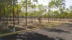 Image of SS Ramesh Vyas Shree Punyodaya Enclave