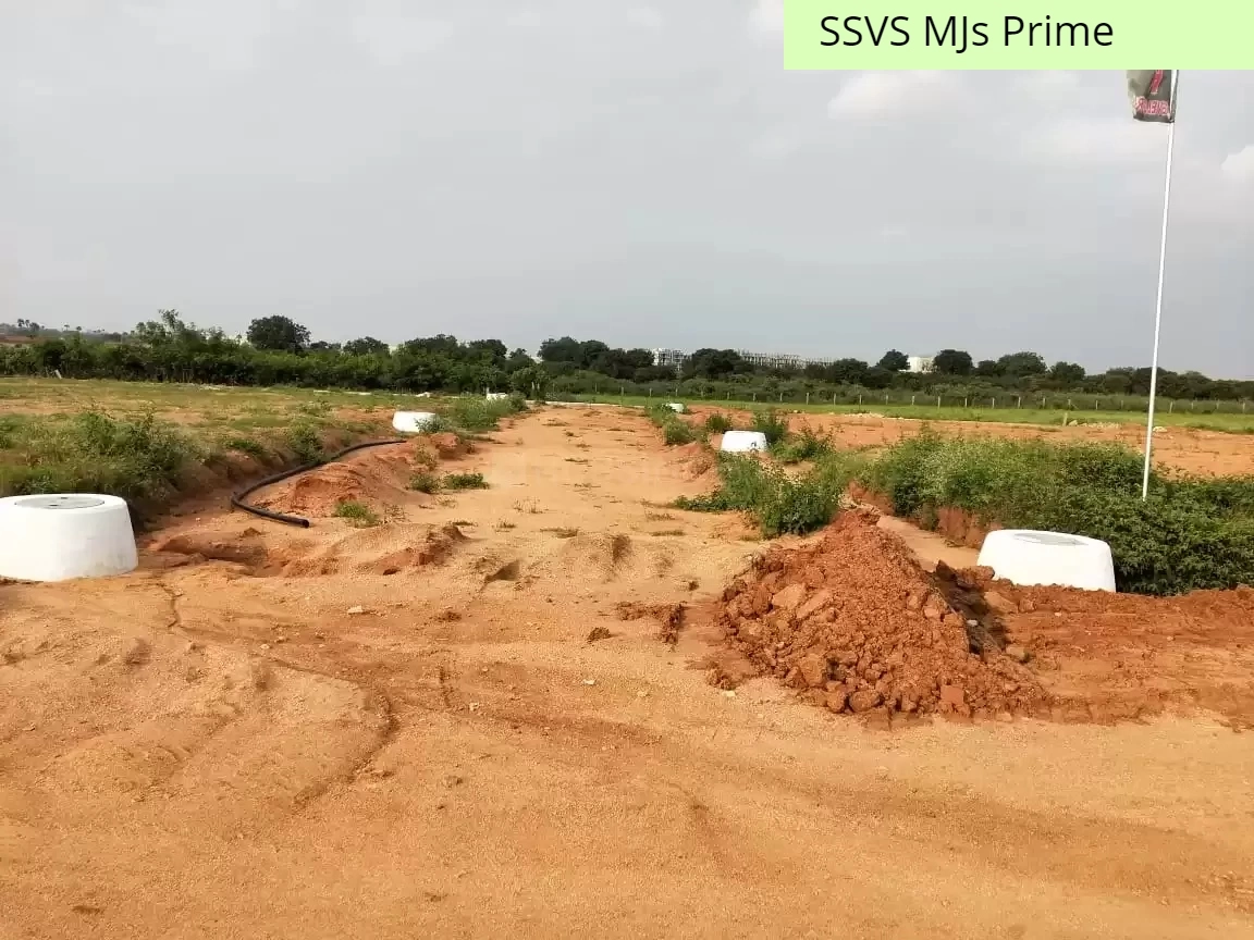 Banner Image for SSVS MJs Prime