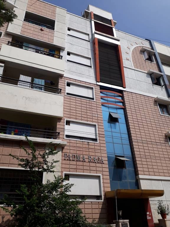 Image of Sai Padma Raga