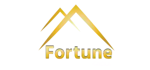True Fortune Developers logo