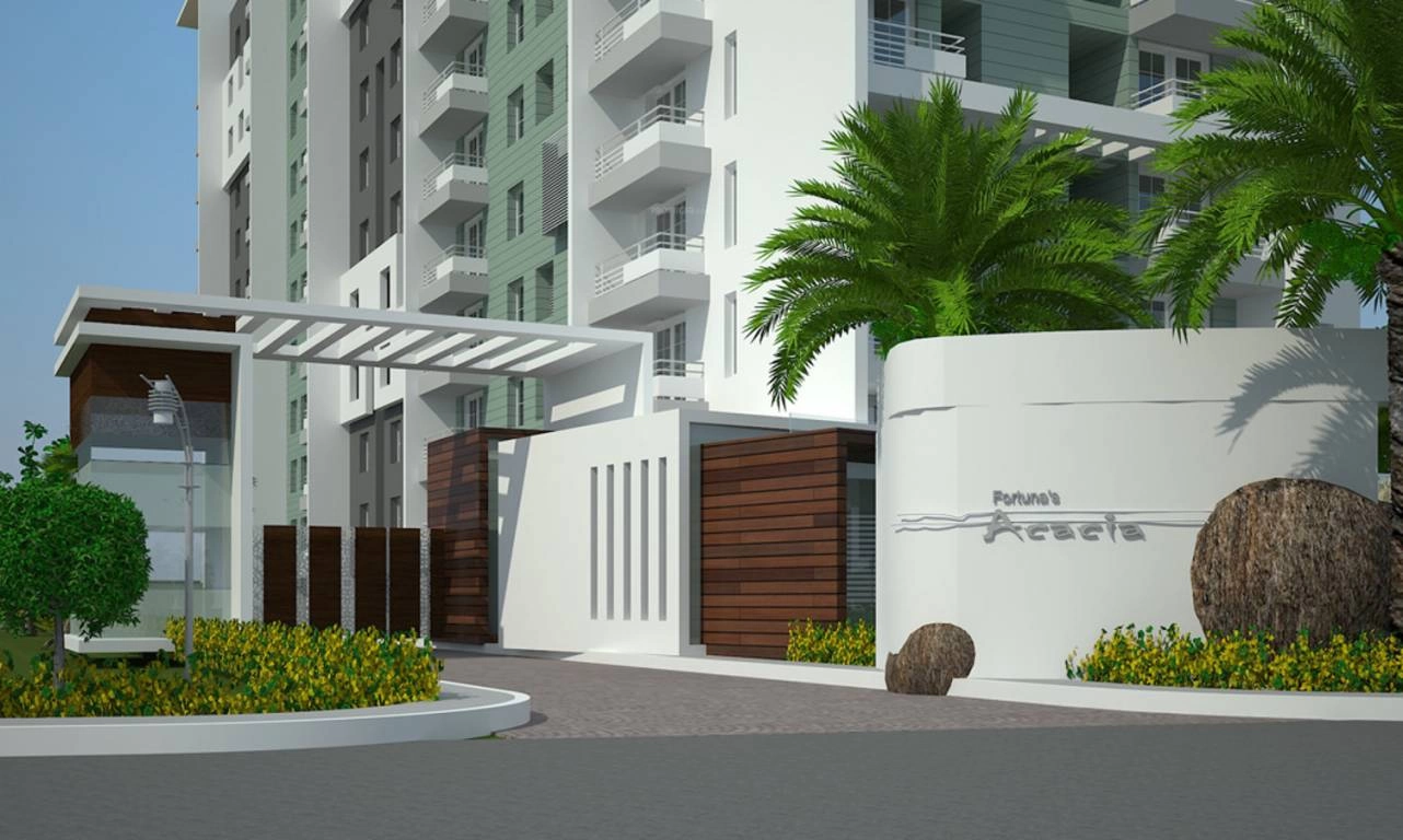 Image of Fortuna Acacia