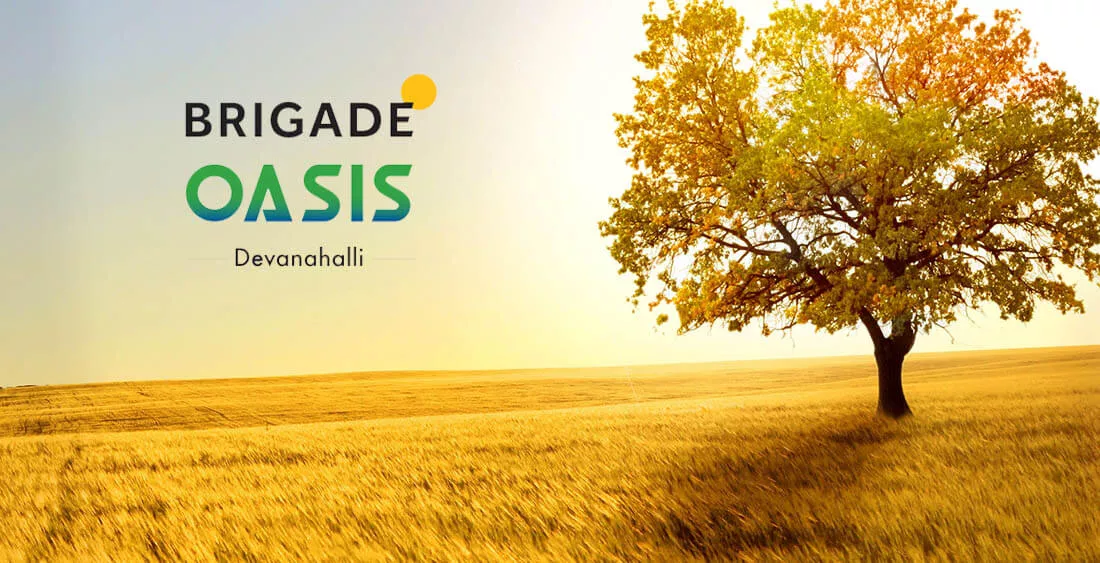 banner image for Brigade Oasis